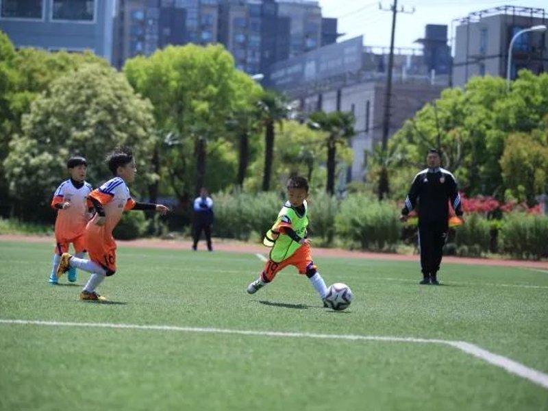 了解乐鱼(leyu)官网